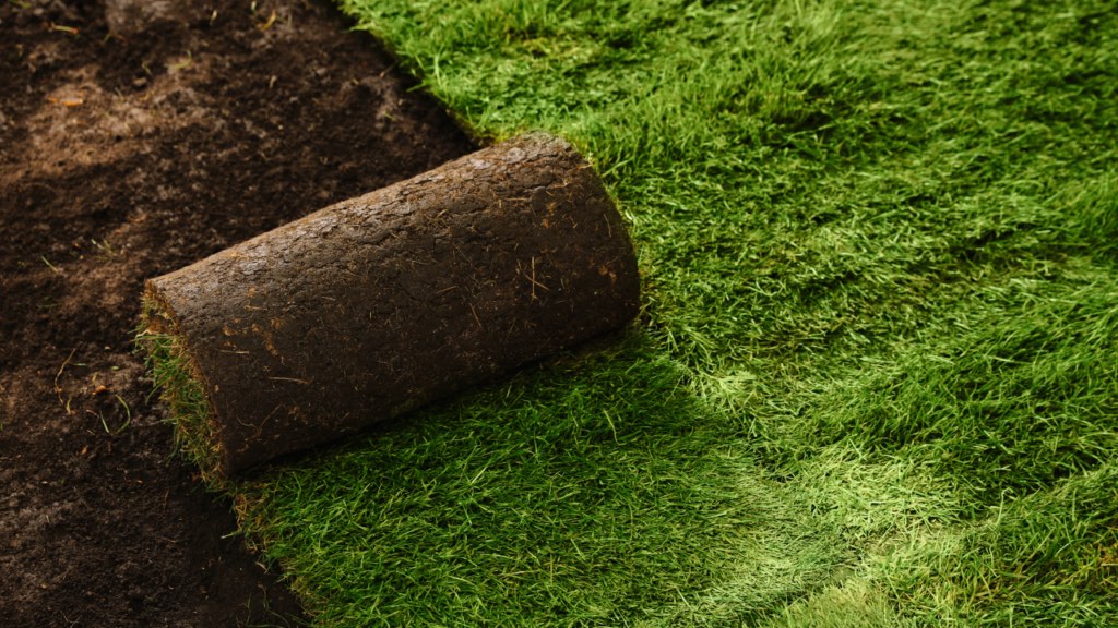 Minnesota homeowner improving landscaping and curb appeal before listing a home for sale