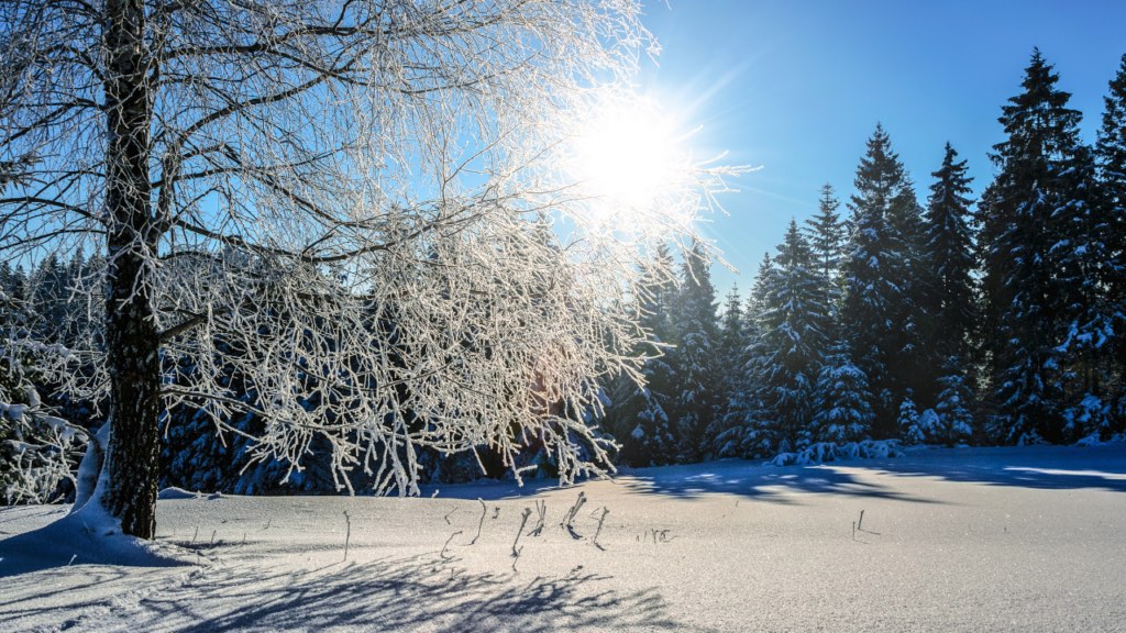 Family comfortably enjoying life in Minnesota during winter with a warm home and outdoor activities