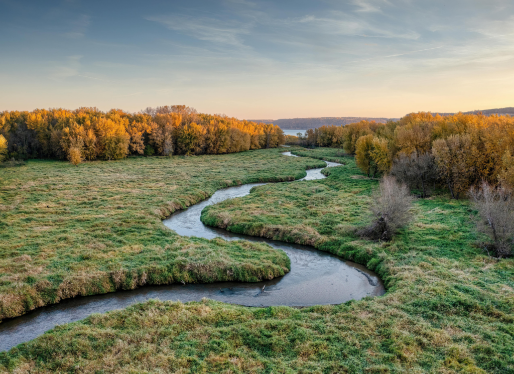 What Is It Like Living in Minnetonka, Minnesota? (2026 Guide)