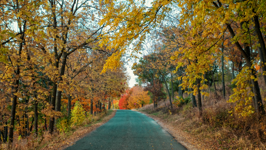 Families exploring suburban neighborhoods in Burnsville and Apple Valley Minnesota