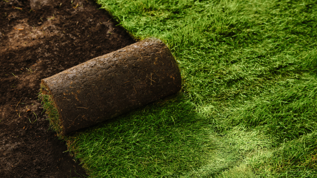 Minnesota homeowner improving landscaping and curb appeal before listing a home for sale