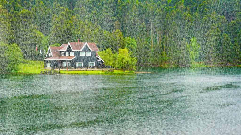 Minnesota residents enjoying daily life throughout all four seasons including winter, spring, summer, and fall