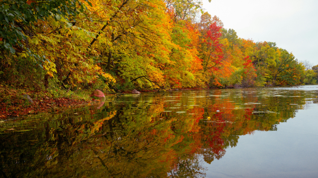 Minnesota residents enjoying lakefront trails, water views, and outdoor recreation near a residential community