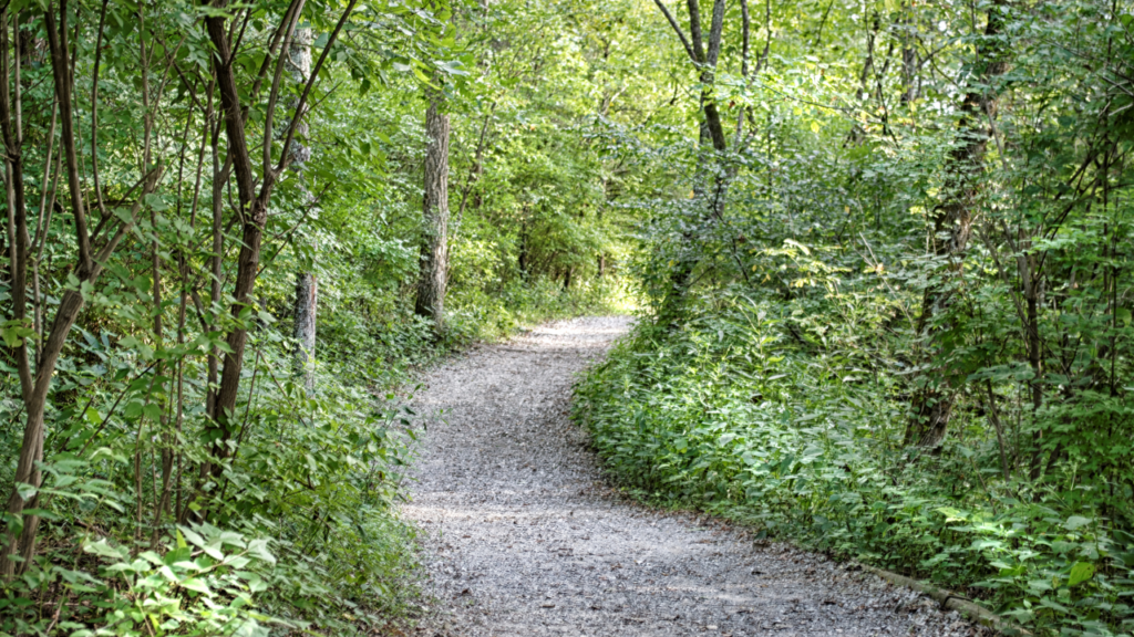 Minnesota residents enjoying scenic walking trails near residential neighborhoods