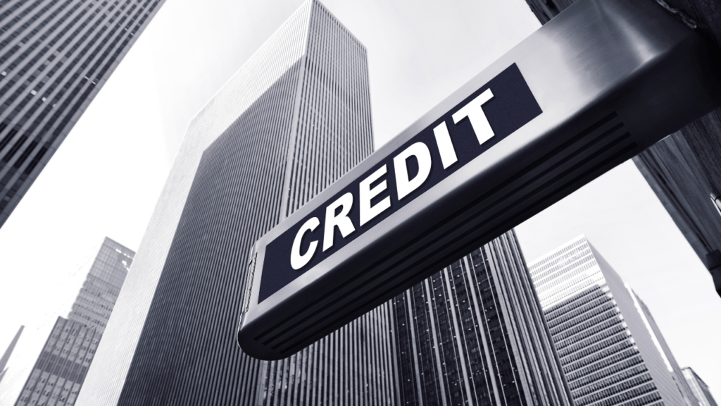 Immigrant professional in Minnesota reviewing credit building steps with a financial advisor to establish U.S. credit history for future home purchase in the Twin Cities