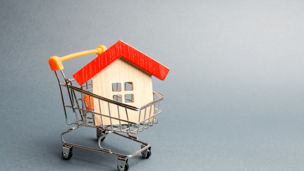 Immigrant homebuyer in Minnesota building confidence during the homebuying process with support from a trusted Realtor in the Twin Cities