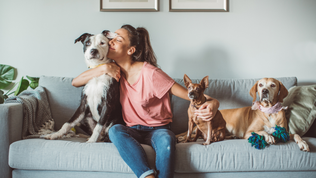 Minnesota home seller loading dogs into car to remove pets completely from the property before buyers arrive for a home showing in the Twin Cities